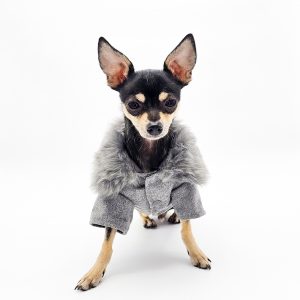 Dog Faux-Fur-Trim Coat - Gray | The Chi Society