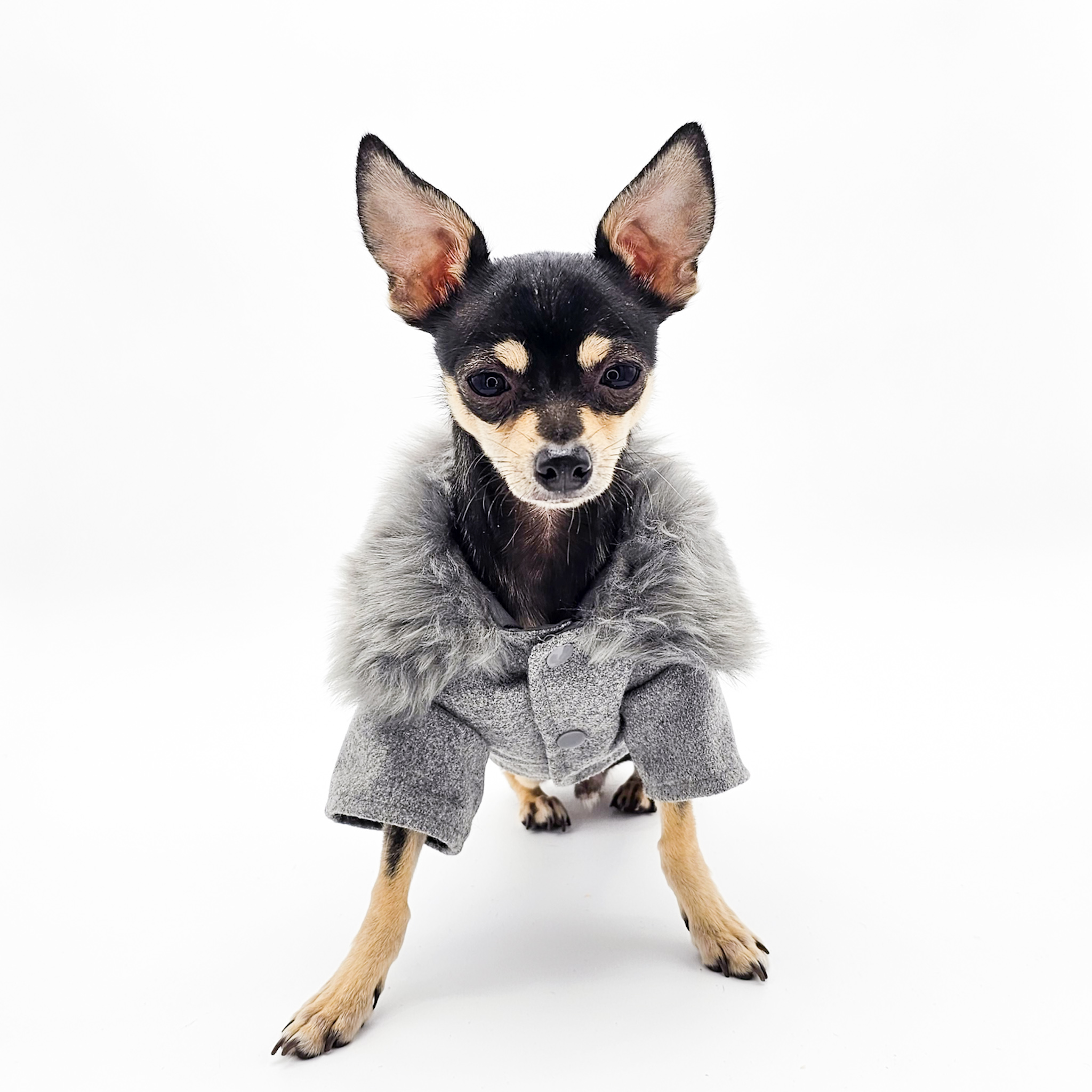 Dog Faux-Fur-Trim Coat - Gray | The Chi Society