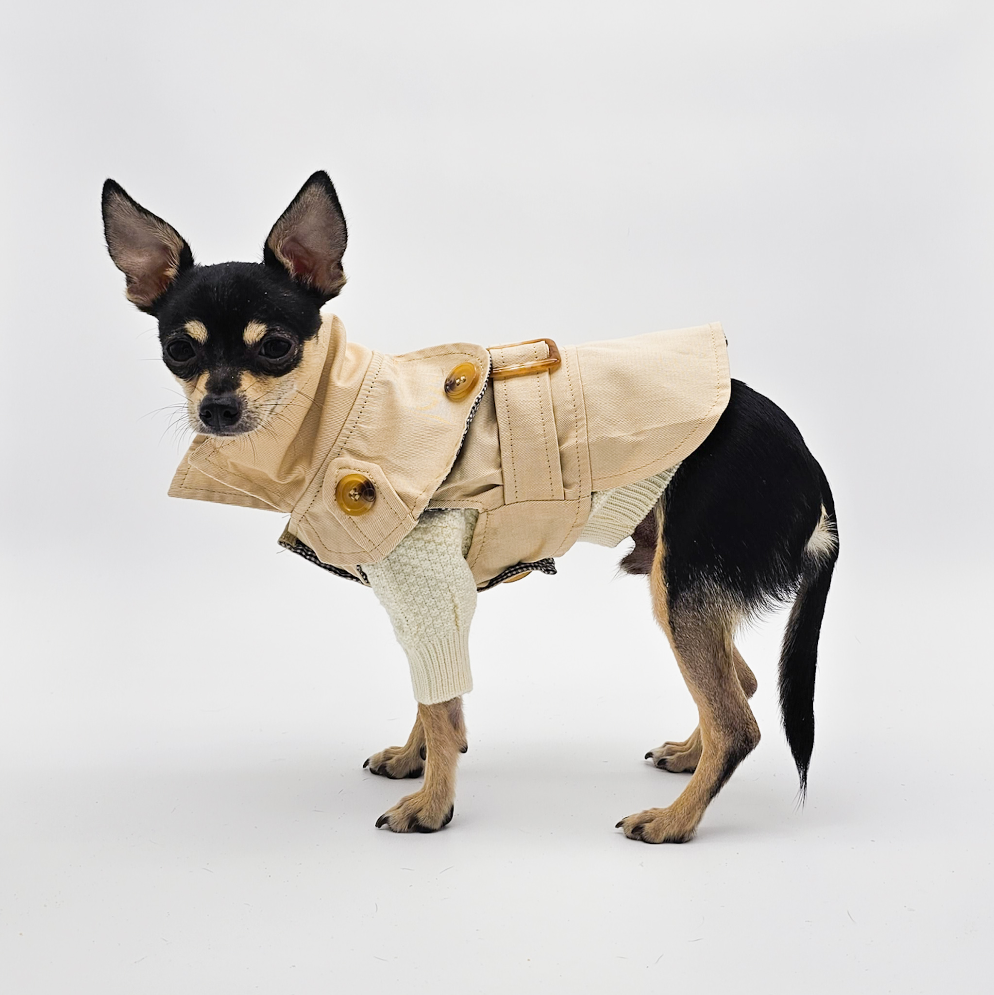 Pet Trench Coat for the Cosmopolitan Canine Side Profile | The Chi Society