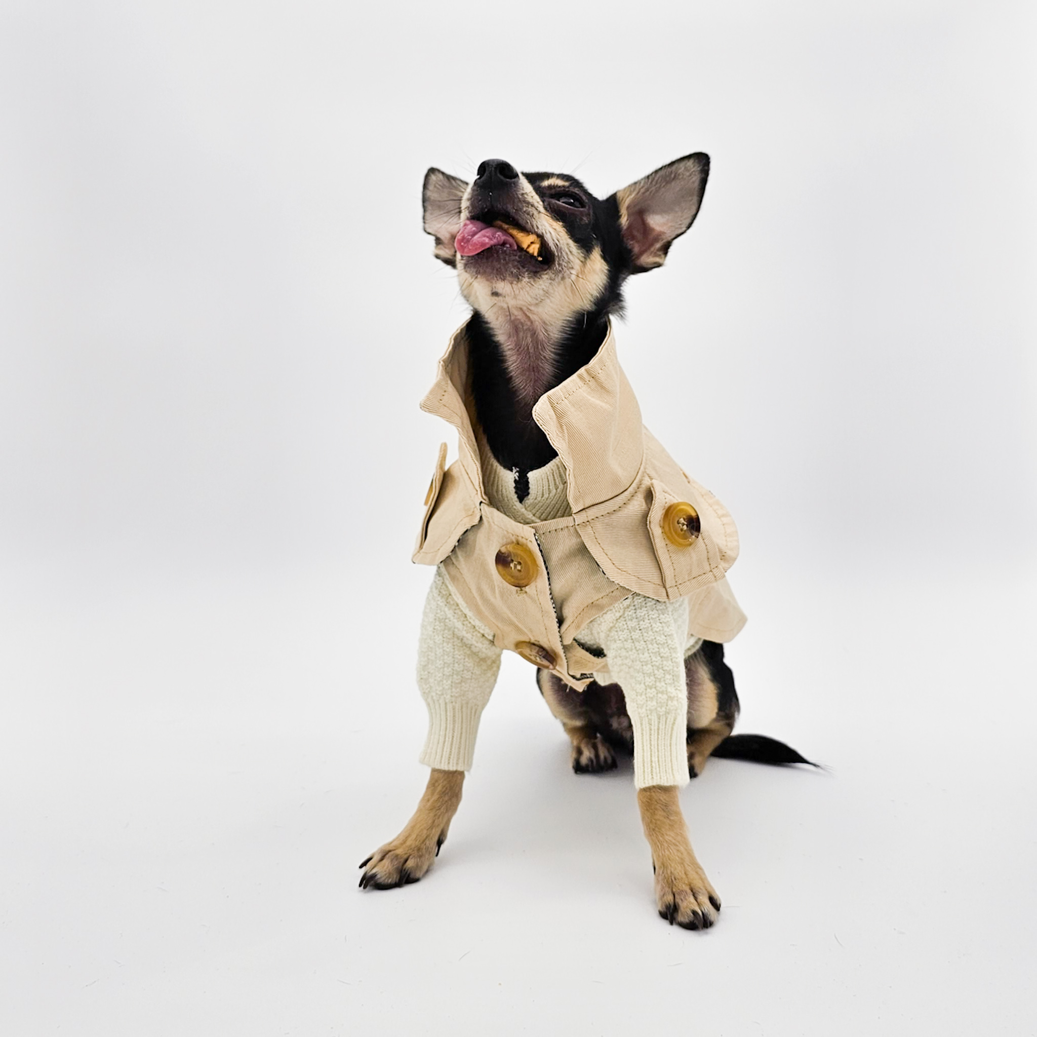 Pet Trench Coat for the Cosmopolitan Canine Goofy Keto | The Chi Society