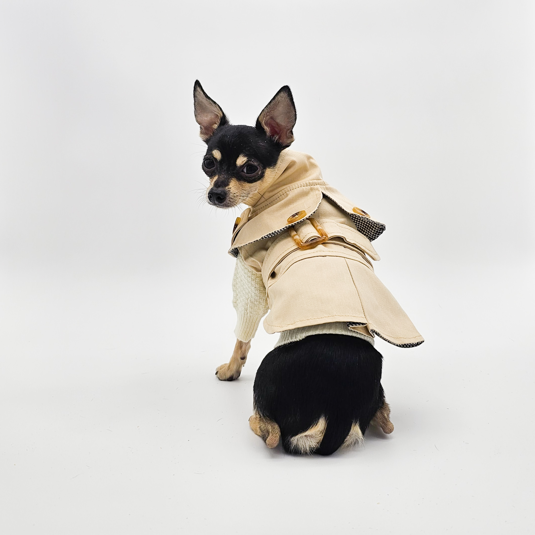Pet Trench Coat for the Cosmopolitan Canine Back | The Chi Society