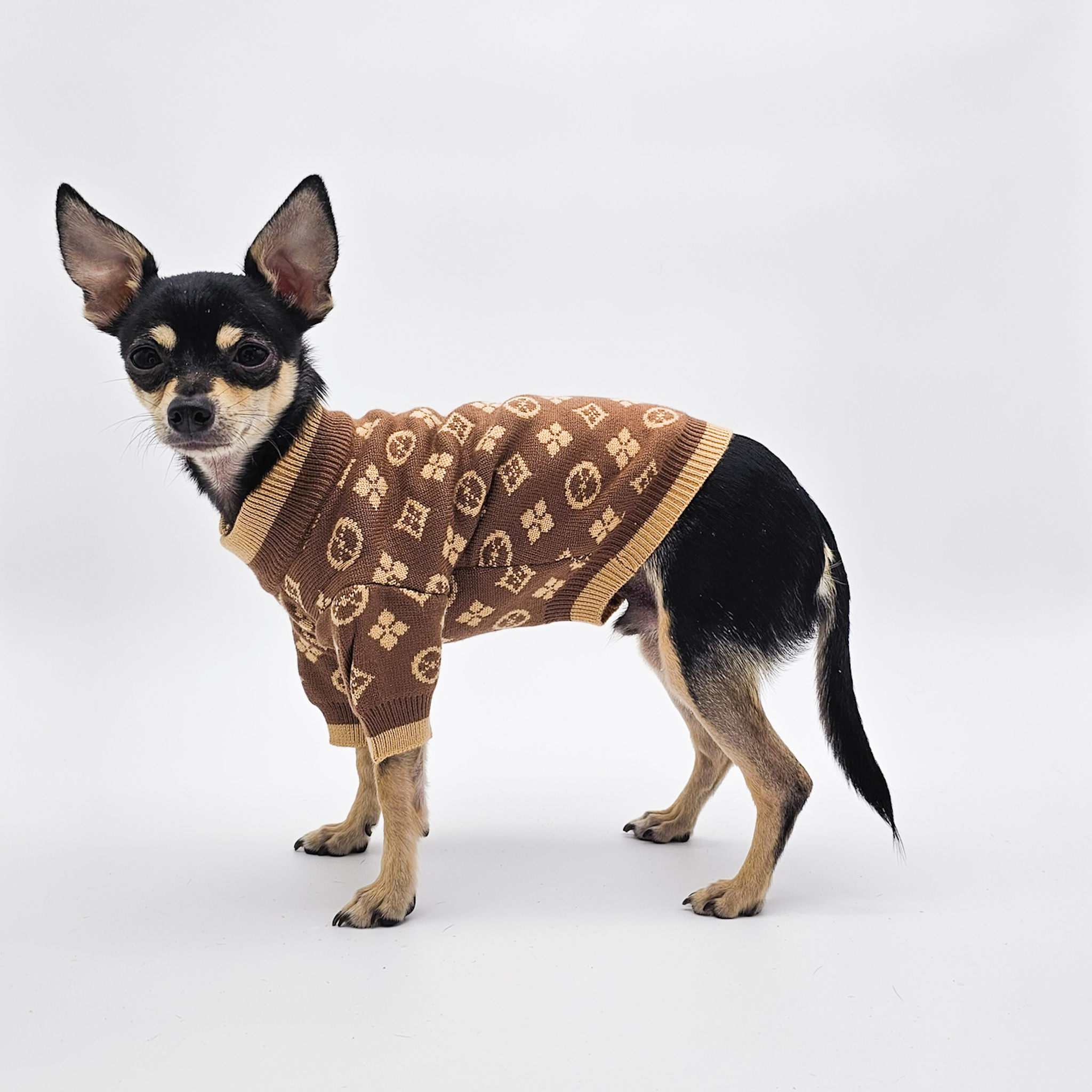 Elevate your pup's style with The Chi Society's Louis Vuitton inspired dog sweater
