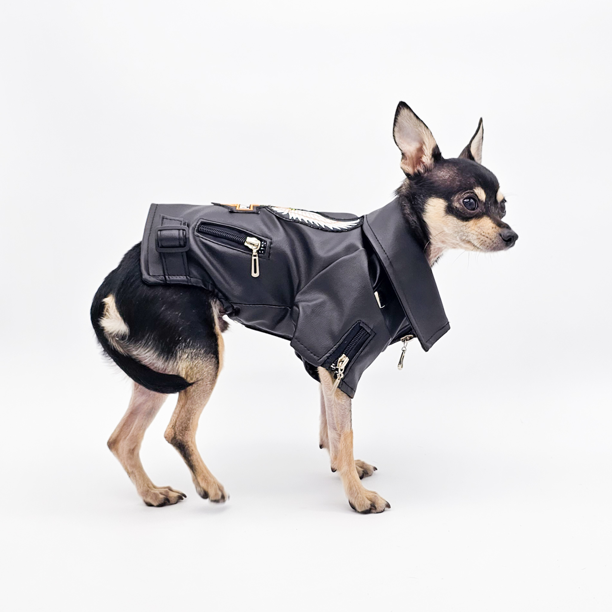 Eagle Pattern Leather Jacket | Premium, Trendy Dog Apparel | The Chi Society Side View