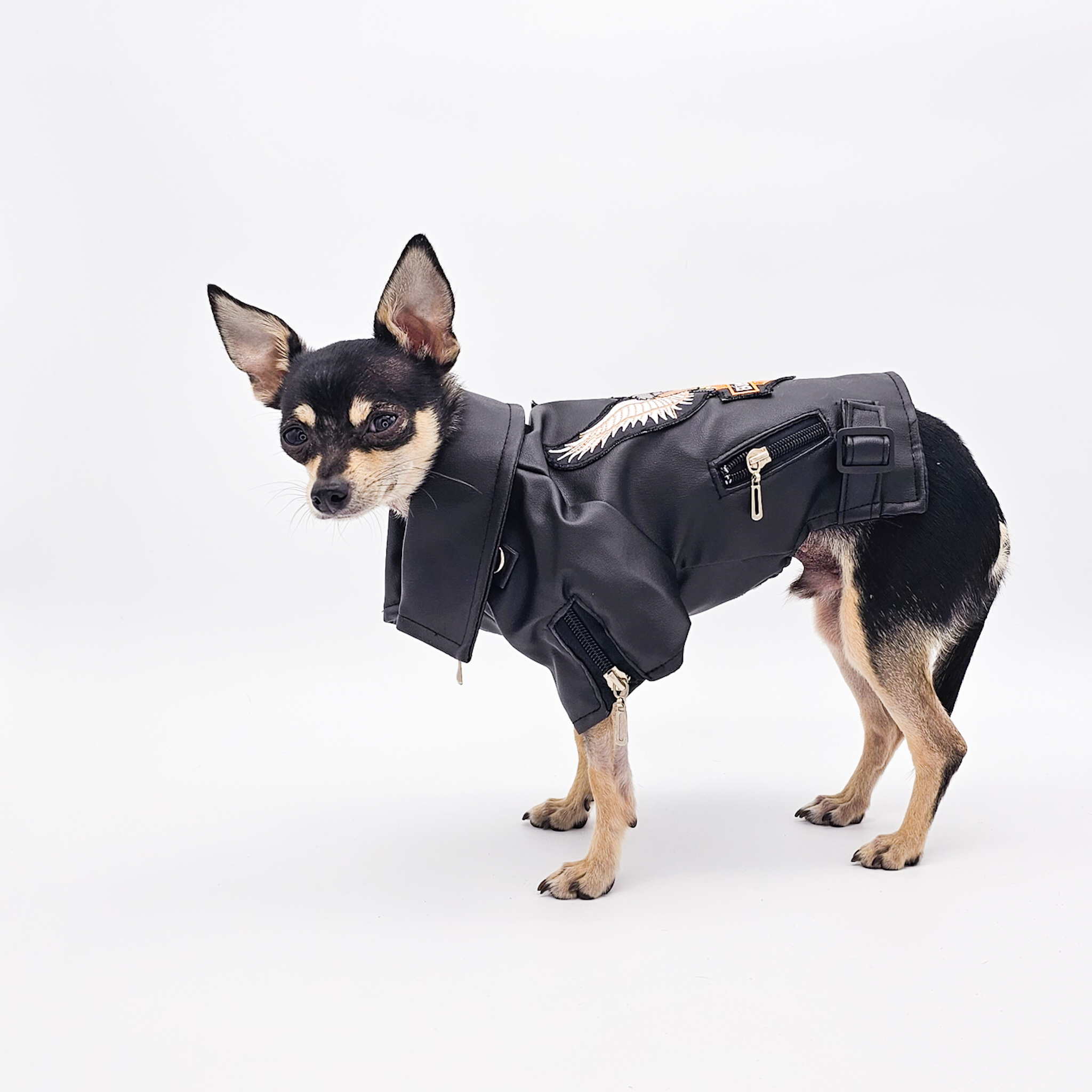 Eagle Pattern Leather Jacket | Premium, Trendy Dog Apparel | The Chi Society Side View 2
