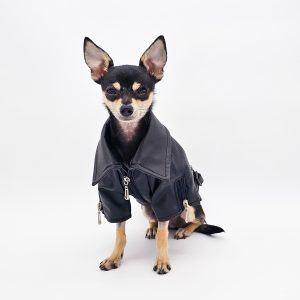 Eagle Pattern Leather Jacket | Premium, Trendy Dog Apparel | The Chi Society Front
