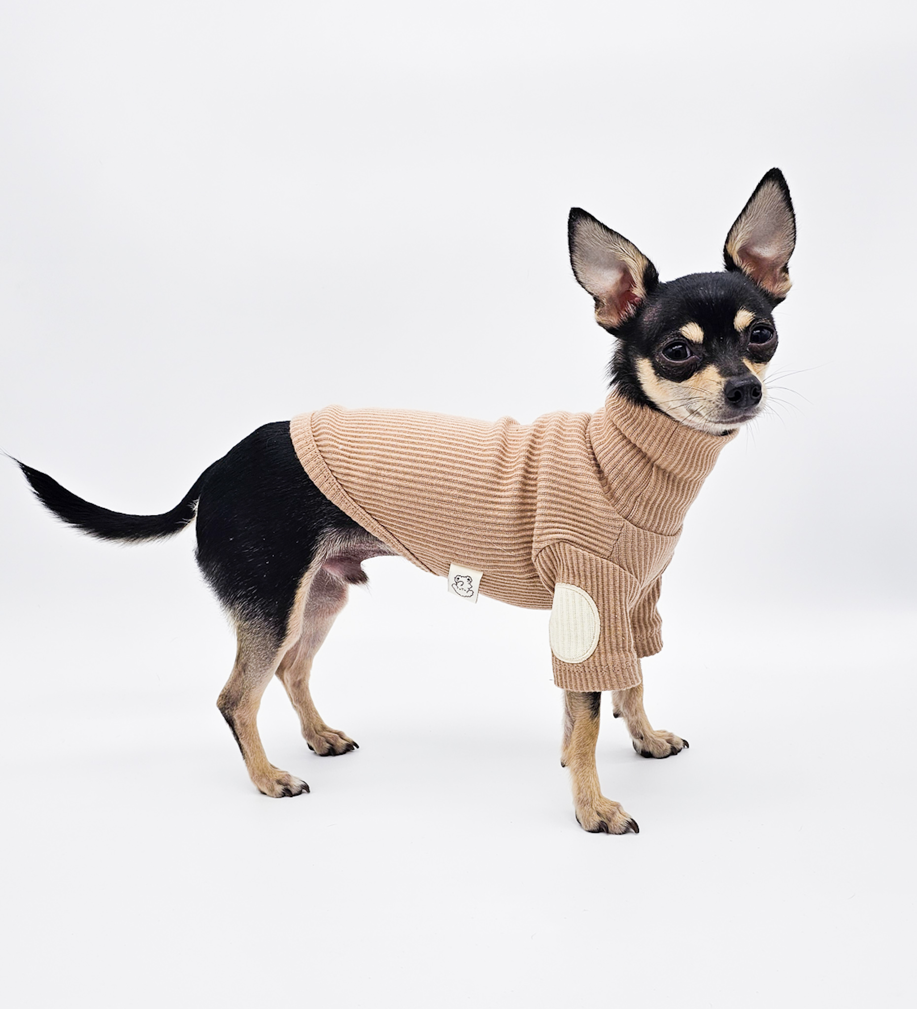 High-End Turtleneck Ribbed Sweater for Small Dogs | The Chi SocietyHigh-End Turtleneck Ribbed Sweater for Small Dogs | The Chi Society