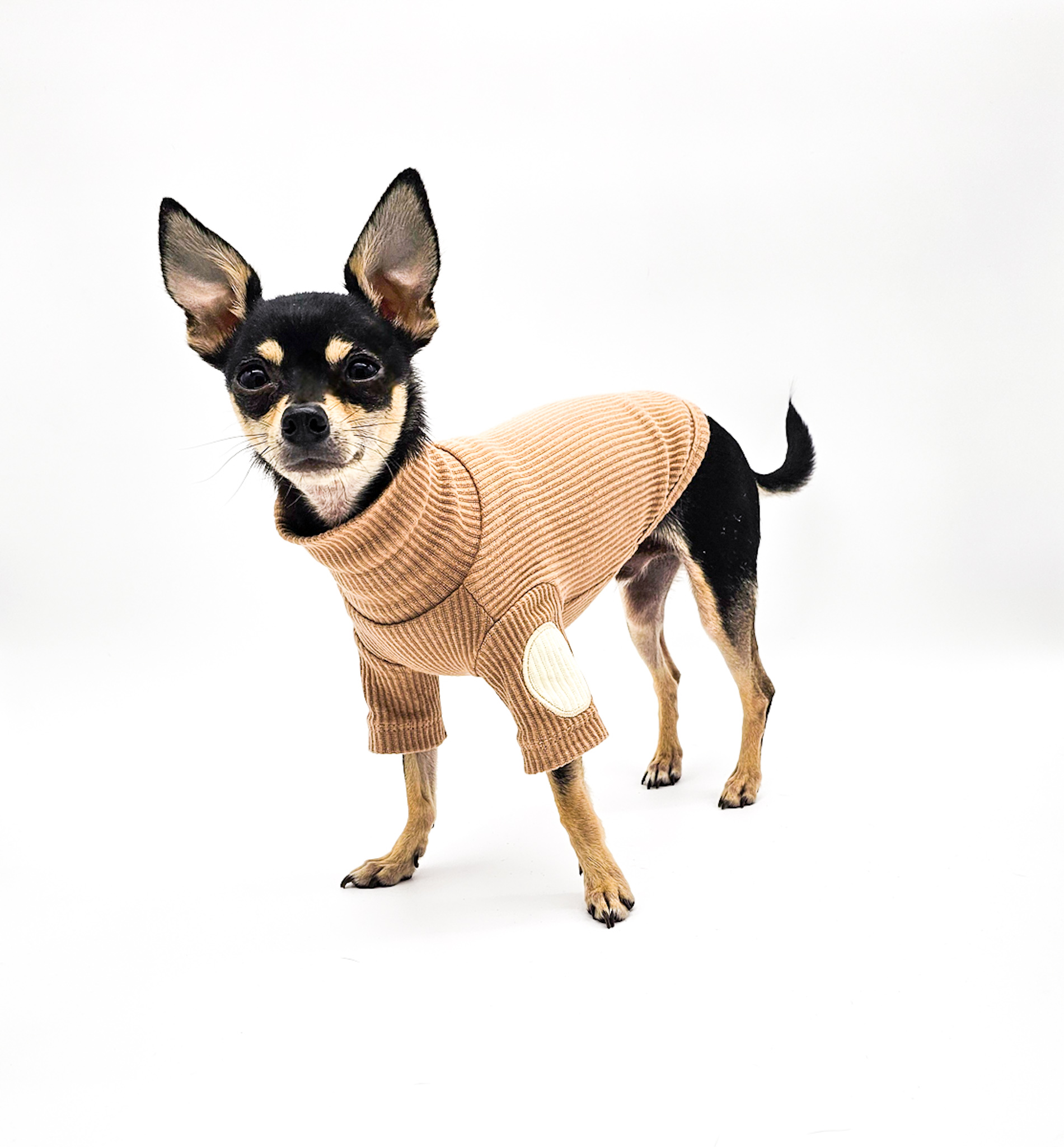 High-End Turtleneck Ribbed Sweater for Small Dogs | The Chi Society Front